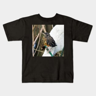 Young American Robin Perched On A Chair Kids T-Shirt